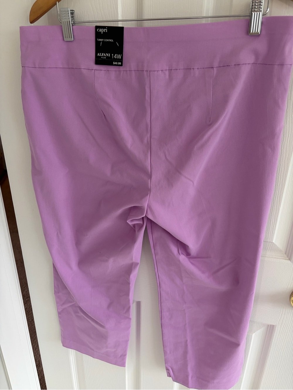 Alfani Lavender Capri Kids Bottoms - 14W